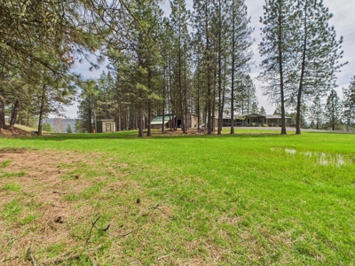 Country Home and Land for Sale Just Outside of Orofino, Idaho - image 8
