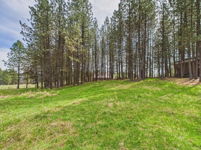 Country Home and Land for Sale Just Outside of Orofino, Idaho - image 12