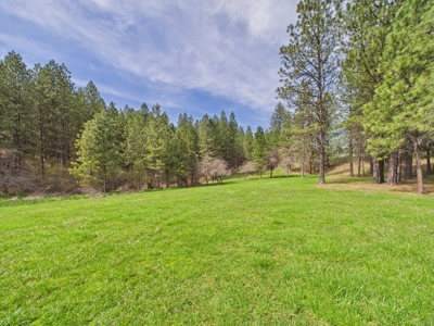 Country Home and Land for Sale Just Outside of Orofino, Idaho - image 5