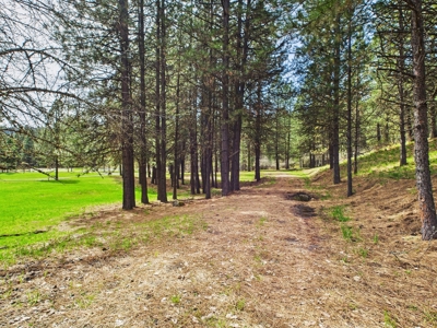 Country Home and Land for Sale Just Outside of Orofino, Idaho - image 9
