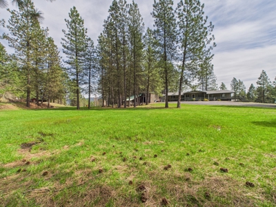 Country Home and Land for Sale Just Outside of Orofino, Idaho - image 7