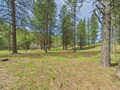 Country Home and Land for Sale Just Outside of Orofino, Idaho - image 6
