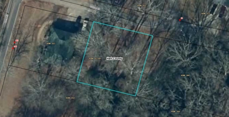 Peaceful Land Setting with Paved Road Access in Hartwell, GA - image 1