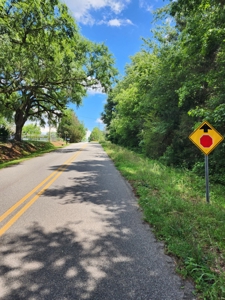 18.39-acre parcel of land in Madison County Ga - image 3