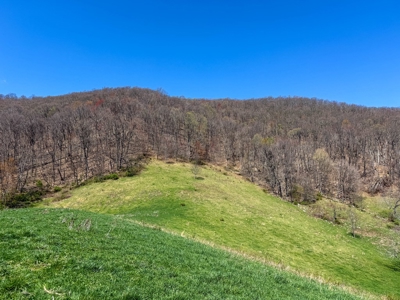 Historic 300± Acre Mountain Farm for Sale in Tazewell County, VA - image 2