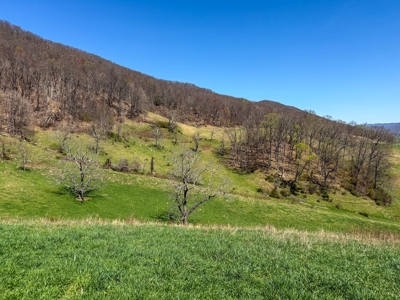 Historic 300± Acre Mountain Farm for Sale in Tazewell County, VA - image 4