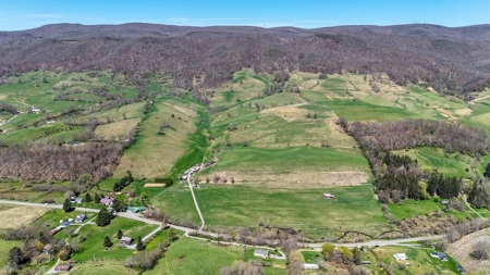 Historic 300± Acre Mountain Farm for Sale in Tazewell County, VA - image 1