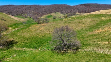 Historic 300± Acre Mountain Farm for Sale in Tazewell County, VA - image 13