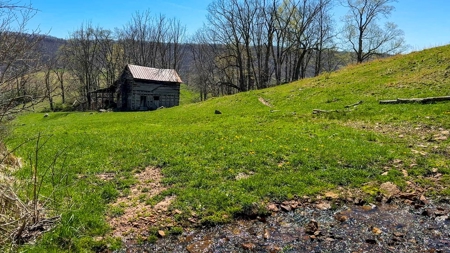 Historic 300± Acre Mountain Farm for Sale in Tazewell County, VA - image 6