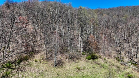 Historic 300± Acre Mountain Farm for Sale in Tazewell County, VA - image 15