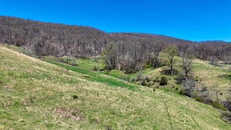 Historic 300± Acre Mountain Farm for Sale in Tazewell County, VA - image 14