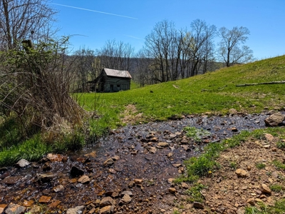 Historic 300± Acre Mountain Farm for Sale in Tazewell County, VA - image 29