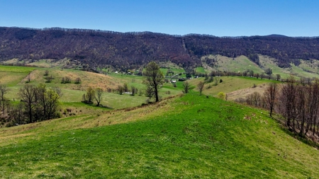 Historic 300± Acre Mountain Farm for Sale in Tazewell County, VA - image 10