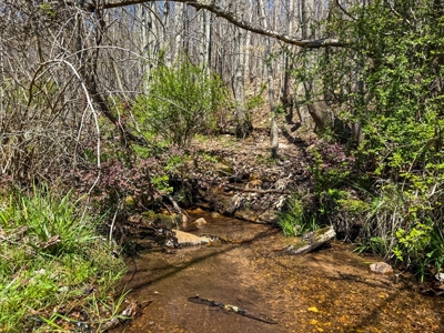 Historic 300± Acre Mountain Farm for Sale in Tazewell County, VA - image 28