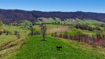 Historic 300± Acre Mountain Farm for Sale in Tazewell County, VA - image 8