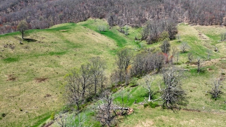 Historic 300± Acre Mountain Farm for Sale in Tazewell County, VA - image 26