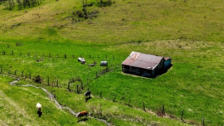 Historic 300± Acre Mountain Farm for Sale in Tazewell County, VA - image 20