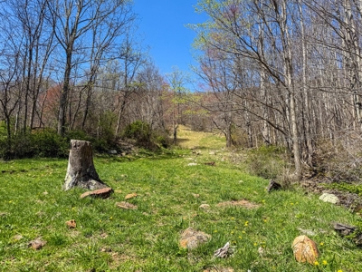 Historic 300± Acre Mountain Farm for Sale in Tazewell County, VA - image 30
