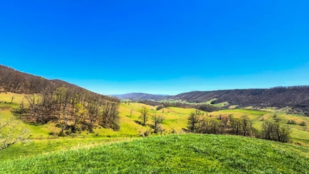 Historic 300± Acre Mountain Farm for Sale in Tazewell County, VA - image 7