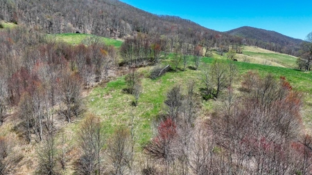 Historic 300± Acre Mountain Farm for Sale in Tazewell County, VA - image 23