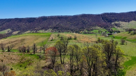 Historic 300± Acre Mountain Farm for Sale in Tazewell County, VA - image 25