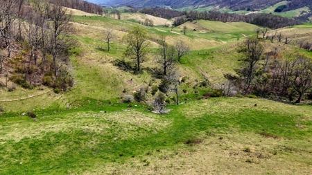 Historic 300± Acre Mountain Farm for Sale in Tazewell County, VA - image 19