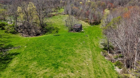 Historic 300± Acre Mountain Farm for Sale in Tazewell County, VA - image 22