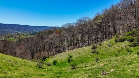 Historic 300± Acre Mountain Farm for Sale in Tazewell County, VA - image 18