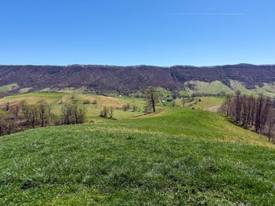 Historic 300± Acre Mountain Farm for Sale in Tazewell County, VA - image 3
