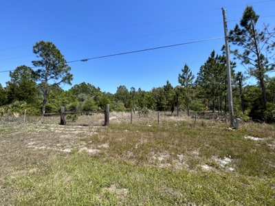 10.03 acre former homesite available in CEDAR KEY, FLORIDA - image 8