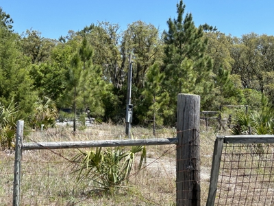 10.03 acre former homesite available in CEDAR KEY, FLORIDA - image 9