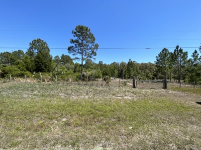 10.03 acre former homesite available in CEDAR KEY, FLORIDA - image 7