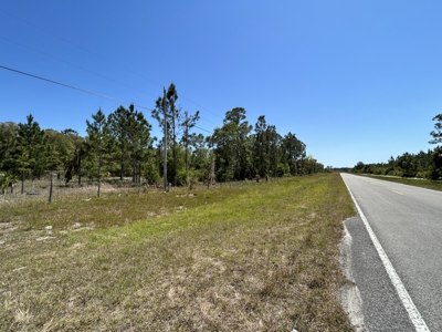 10.03 acre former homesite available in CEDAR KEY, FLORIDA - image 6