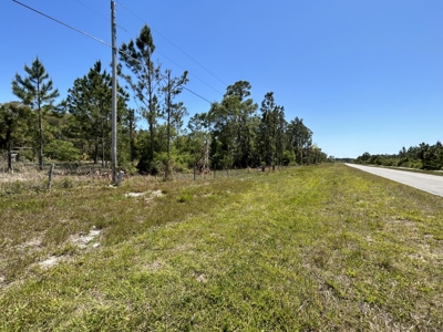 10.03 acre former homesite available in CEDAR KEY, FLORIDA - image 3