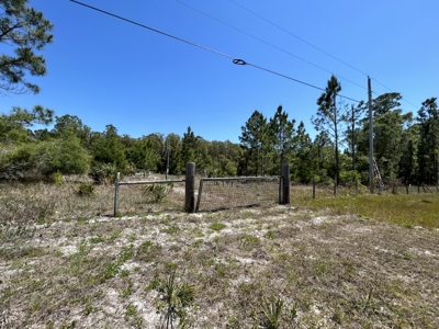 10.03 acre former homesite available in CEDAR KEY, FLORIDA - image 5