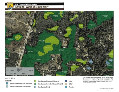 10.03 acre former homesite available in CEDAR KEY, FLORIDA - image 10