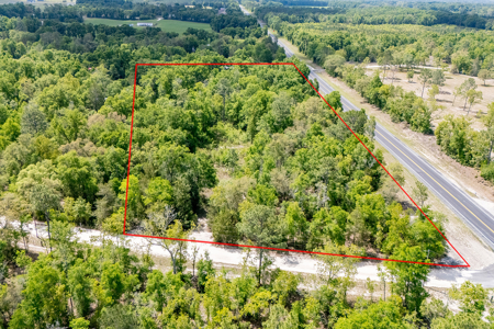 5 Acres of Vacant Land For Sale in Bell, FL - image 19
