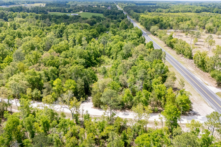 5 Acres of Vacant Land For Sale in Bell, FL - image 17