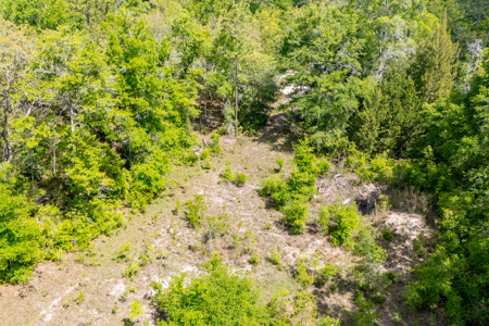 5 Acres of Vacant Land For Sale in Bell, FL - image 14