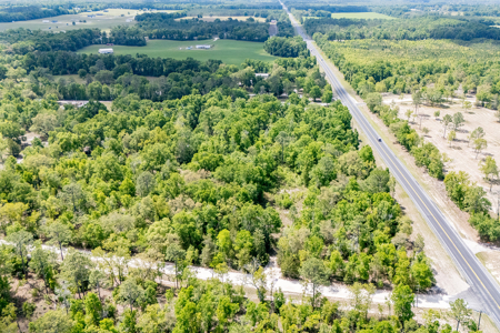 5 Acres of Vacant Land For Sale in Bell, FL - image 22