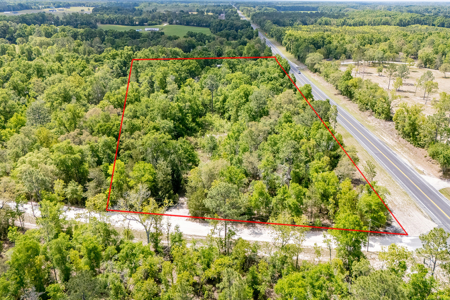 5 Acres of Vacant Land For Sale in Bell, FL - image 16