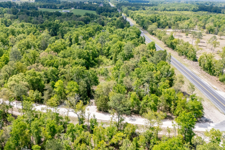 5 Acres of Vacant Land For Sale in Bell, FL - image 23