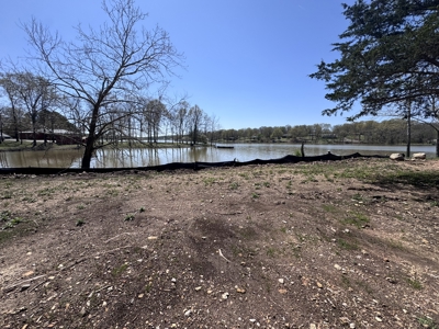 Lakefront Property For Sale In North Central Arkansas - image 9