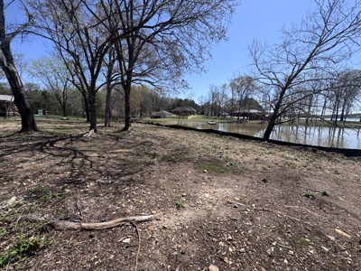 Lakefront Property For Sale In North Central Arkansas - image 7