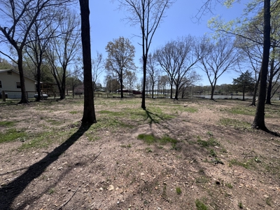 Lakefront Property For Sale In North Central Arkansas - image 11
