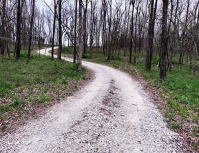 Home & Acreage for Sale near Bolivar, MO - image 23