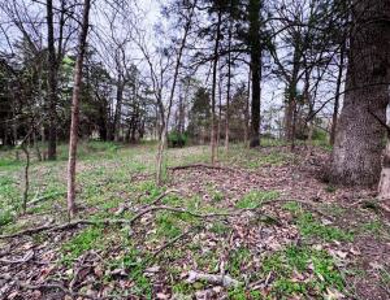 Home & Acreage for Sale near Bolivar, MO - image 20