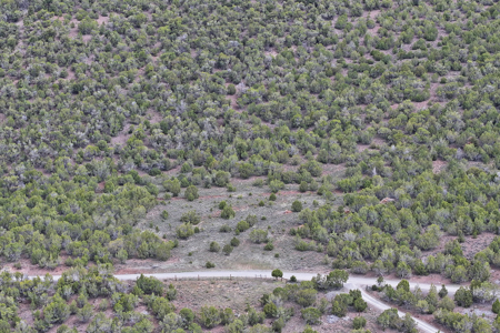 Land For Sale in Western Colorado - image 11