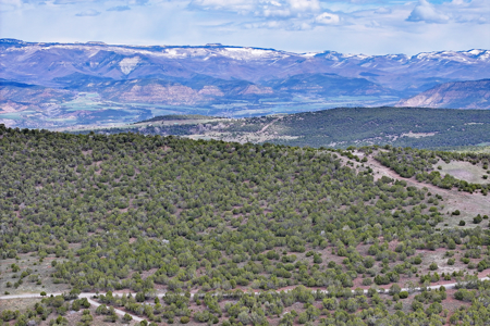 Land For Sale in Western Colorado - image 9