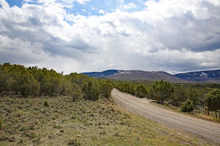 Land For Sale in Western Colorado - image 2